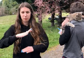 American Sign Language students at WHS use sign to introduce their pets